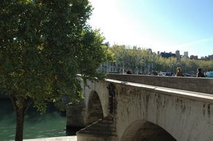 Seine siver and Marie's bridge 