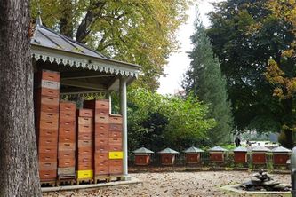 Luxembourg Gardens apiary