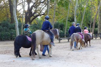 Luxembourg Gardens Pony rides