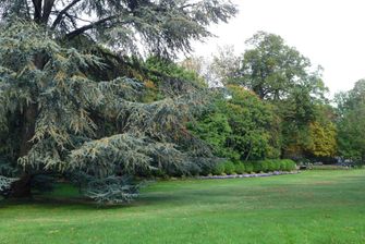 Jardin du Luxembourg parc à l'anglaisese