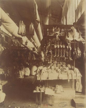 Etalage de volailles aux Halles
Atget – 1898
(BnF)