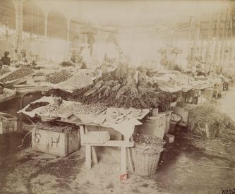 Crustacean and shellfish merchants in Les Halles
Atget
(BnF)